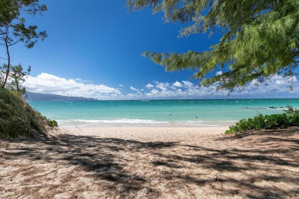 Unit 2 Maui Ohana Modern Studio Wailuku Ngoại thất bức ảnh